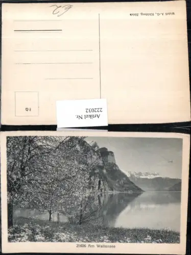 222032,Am Walensee See b. Weesen Partie Kt St Gallen