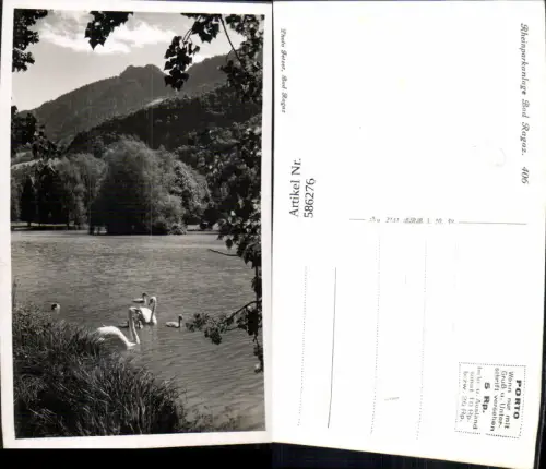 586276,Foto Ak Bad Ragaz Rheinparkanlage Schwan Switzerland