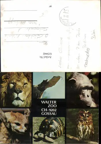 619442,Mehrbild Ak Walter Zoo Gossau Löwe Affe Tiere
