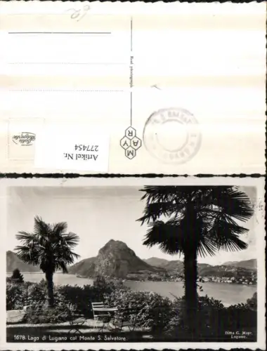 277454,Lago du Lugano col Monte S. Salvatore Palmen Kt Tessin