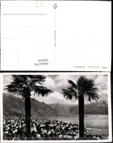 350918,Locarno Panorama Totale Bergkulisse Palmen Kt Tessin