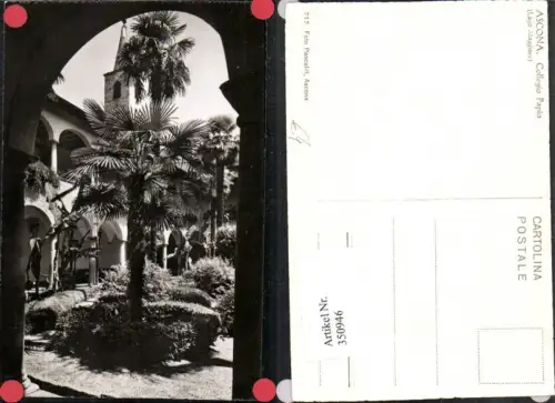 350946,Lago Maggiore Ascona Collegio Papio Kloster Palmen Kt Tessin