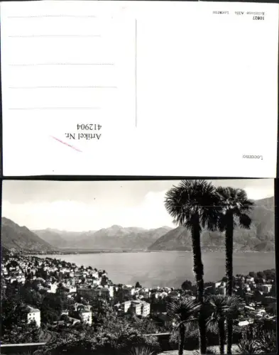 412904,Locarno Totale Palmen Bergkulisse Kt Tessin