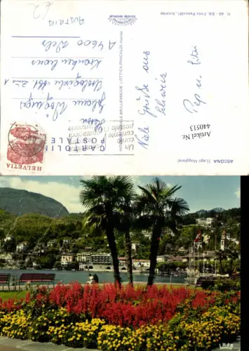 440513,Ascona Teilansicht Palmen Kt Tessin