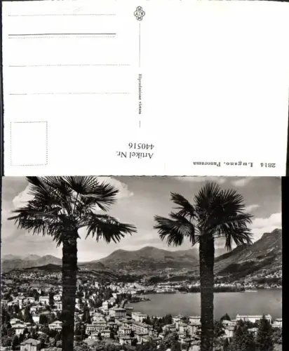 440516,Lugano Panorama Totale Palmen Kt Tessin