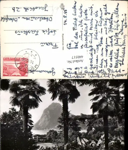 440517,Lugano Monte San Salvatore Palmen Kt Tessin