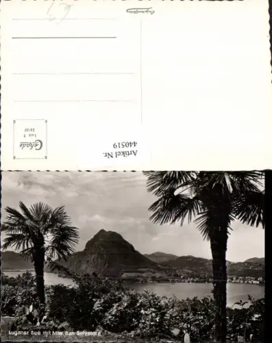 440519,Luganer See m. Monte San Salvatore Palmen Kt Tessin
