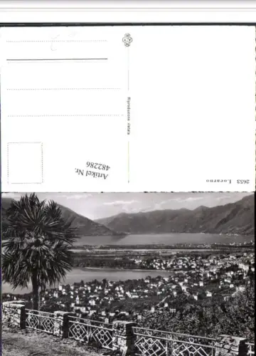 482286,Locarno Totale Palme Bergkulisse Kt Tessin