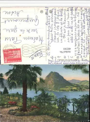 482301,Lugano Monte San Salvatore Ausblick Palmen Kt Tessin