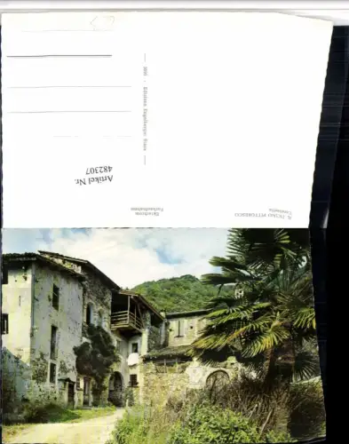 482307,Il Ticino Carabietta Motiv Haus Palme Kt Tessin