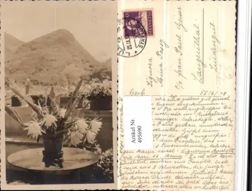 495690,Foto AK Lugano Tisch Blumen Topf Kt Tessin