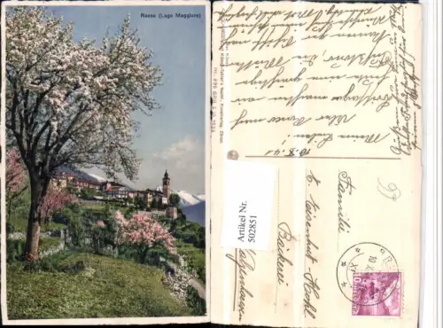 502851,Lago Maggiore Ronco Teilansicht Baumblüte Kt Tessin