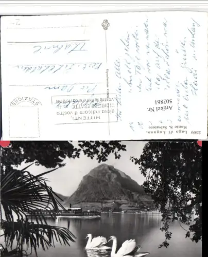 502861,Lago di Lugano Monte San Salvatore Schwäne Dampfer Kt Tessin