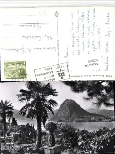 502863,Lugano Monte San Salvatore Palmen Bergkulisse Kt Tessin