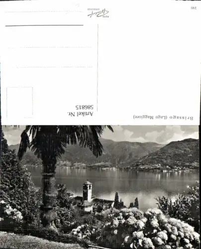 586815,Foto Ak Brissago Lago Maggiore Switzerland