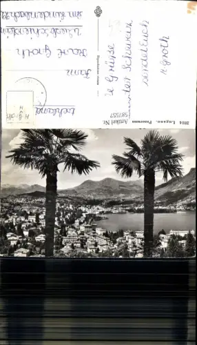 587557,Foto Ak Panorama Lugano Palmen i. Vordergrund Lago di Lugano Switzerland