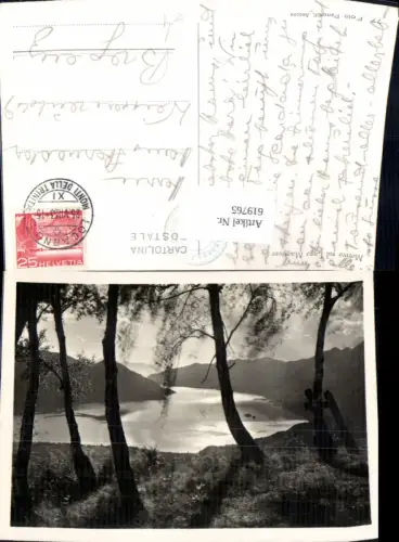 619765,Motivo sul Lago Maggiore Bäume b. Locarno
