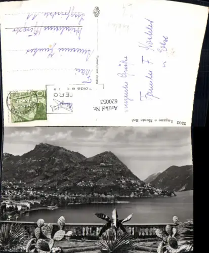 620053,Foto Ak Lugano e Monte Bre Kaktus Kakteen