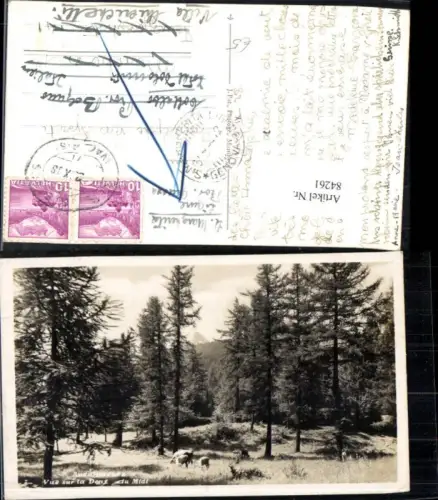 84261,Aux Giettes Glettes Dent du Midi Kt Thurgau