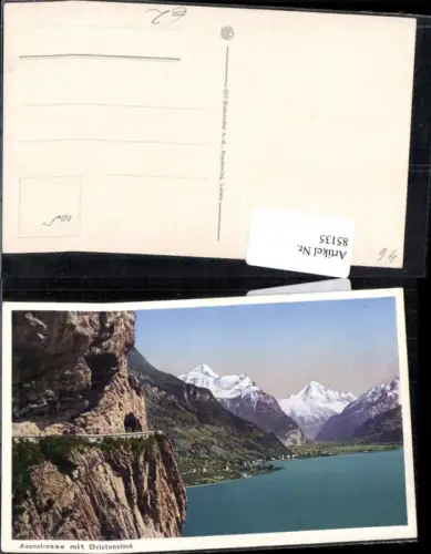 85135, Axenstrasse mit Bristenstock