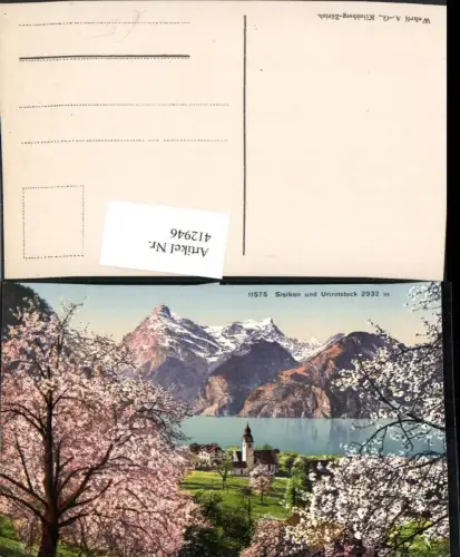 412946,Sisikon Kirche m. Urirotstock Bergkulisse Baumblüte Kt Uri