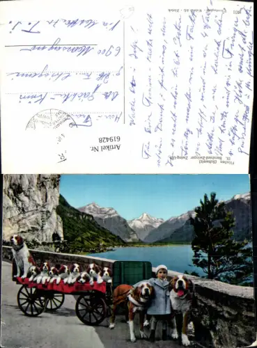 619428,Flüelen St Bernhard-Zwinger Zwing-Uri Hunde Bernhardiner Tiergespann m. Kind