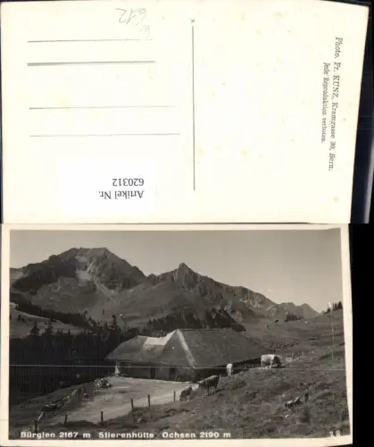 620312,Bürglen Stierenhütte