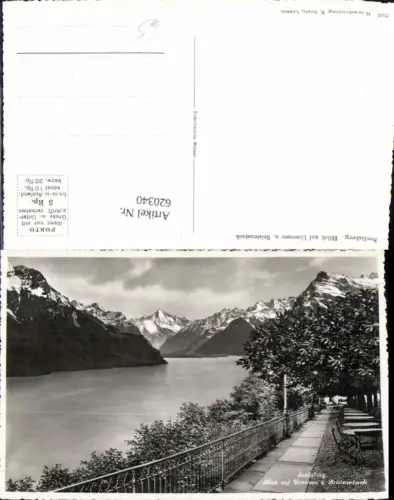 620340,Foto Ak Seelisberg Blick auf Urnersee u. Bristenstock