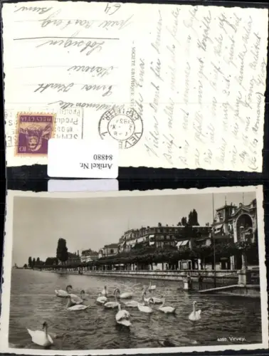 84880, Vevey Schwäne am Fluss Kt Waadt