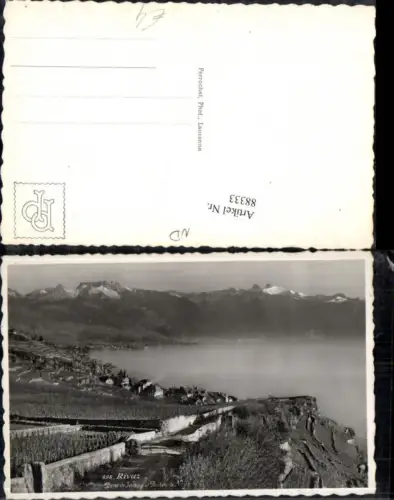 88333,Rivaz Kt Waadt