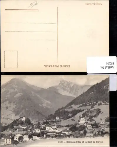 89266,Chateau d'Oex et la Dent de Corjon Kt Waadt