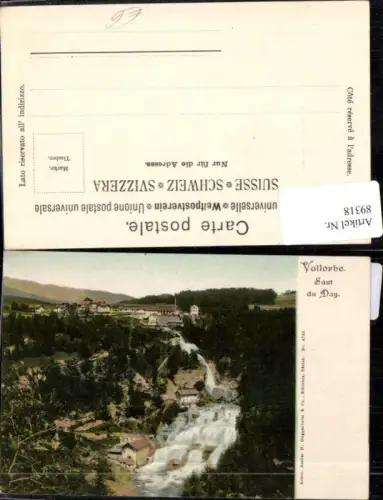 89318,Vallorbe Saut de Day Künstlerkarte Kt Waadt