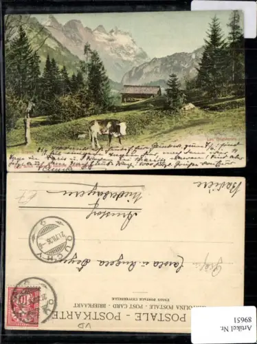 89651,Gryon Les Diablerets Weidekuh Phototypie Kt Waadt