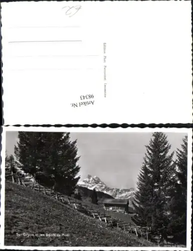 98343,Sur Gryon et les Dents du Midi Kt Waadt