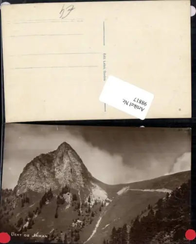 98817,Dent de Jaman Kt Waadt