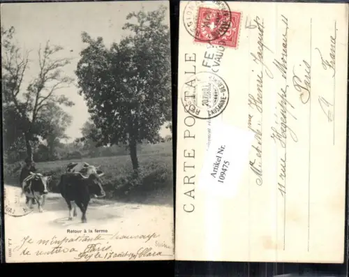 109475,Retour a la ferme Kuh Kühe Kt Waadt