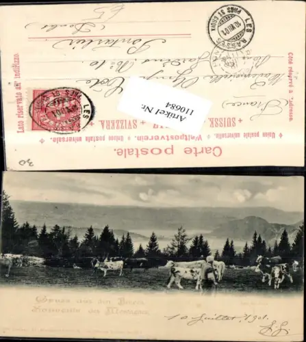 110684,Gruss aus d. Bergen Lac de Joux Kuhherde 1901 Kanton Waadt