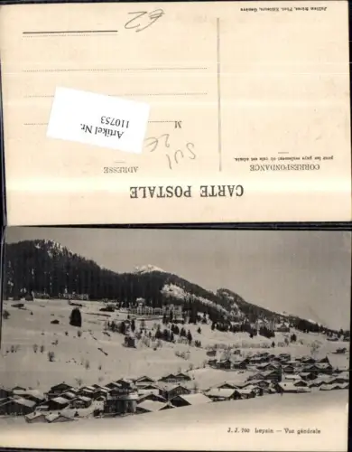 110753,Leysin Totale Winter Kanton Waadt