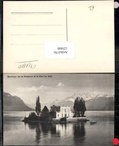 125460,Montreux Salagnon Dent du midi Kt Waadt