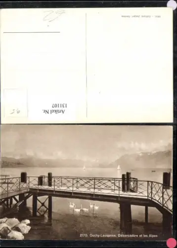 131107,Ouchy Lausanne Debarcadere et les Alpes Ansicht Steg Schwäne Anlegestelle Kt. Waadt