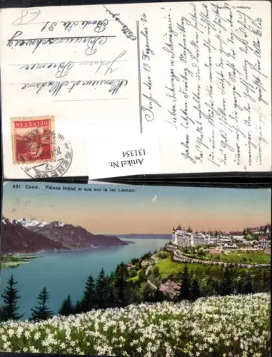 131354,Caux Palace Hotel et vue sur le Lac Leman Genfersee 1926 Kt. Waadt