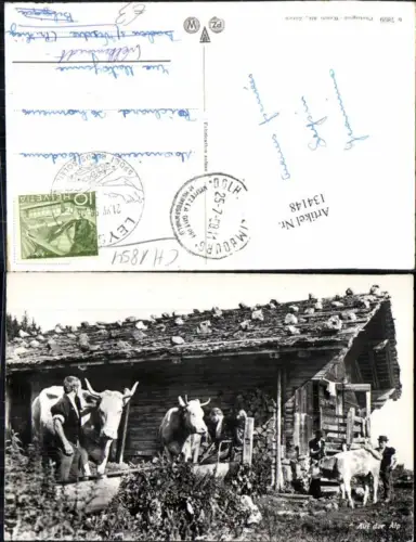 134148,Auf der alp Kühe rinder Kt Waadt