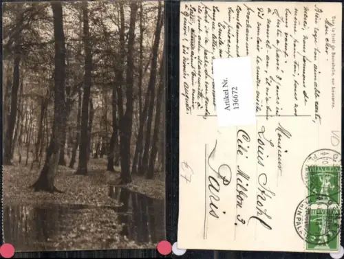 136672,Dans la foret Sauvabelin sur Lausanne Kt Waadt