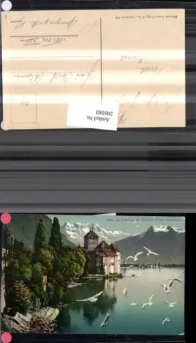 201080,Le Chateau de Chillon et les mouettes Schloss Möven Kt Waadt