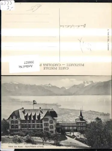 208827,Hotel des Alpes Mont Pelerin Vevey Kt Waadt