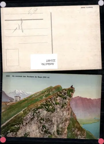 221497,Au sommet des Rochers de Naye b. Montreux Bergspitze Kt Waadt