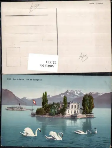 221523,Lac Leman Ile de Salagnon Insel Gebäude Schwäne Kt Waadt