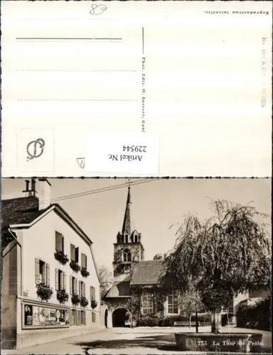 229544,La Tour-de-Peilz Ansicht Brunnen Kirche Kt Waadt