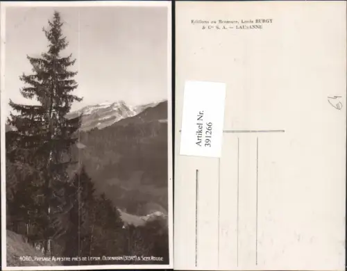 391266,Paysage Alpestre pres de Leysin Oldenhorn Scex Rouge Bergkulisse Kt Waadt