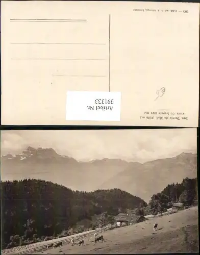 391333,Les Dents du Midi vues de Leysin Bergkulisse Kt Waadt